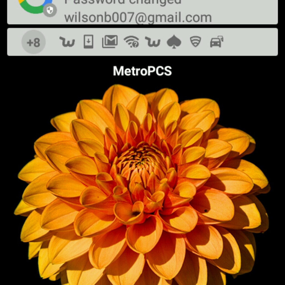 Meet your Posher, Batbara
